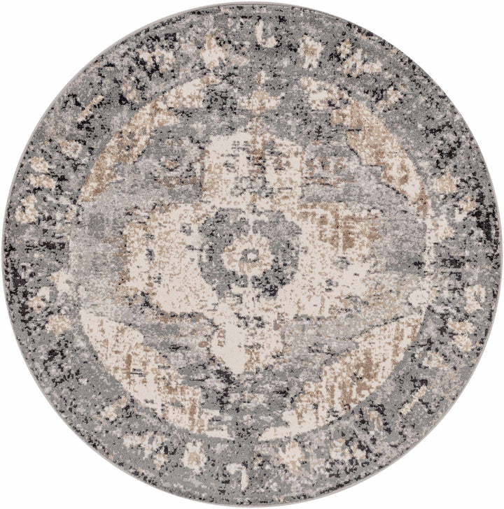 Antique Style Ivory, Tan, Charcoal and Gray Transitional Design Area Rug - The Rug Decor