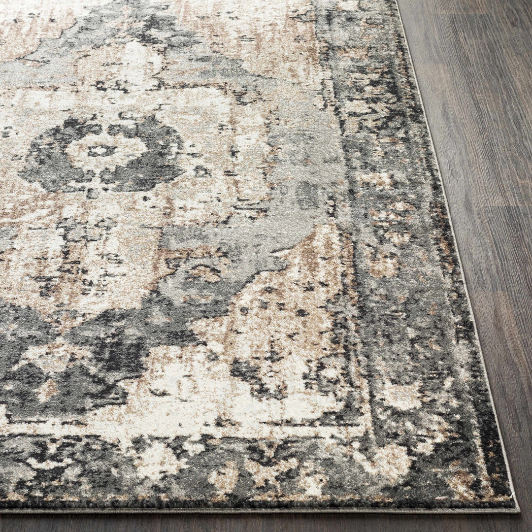 Antique Style Ivory, Tan, Charcoal and Gray Transitional Design Area Rug - The Rug Decor