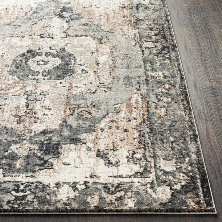 Antique Style Ivory, Tan, Charcoal and Gray Transitional Design Area Rug - The Rug Decor