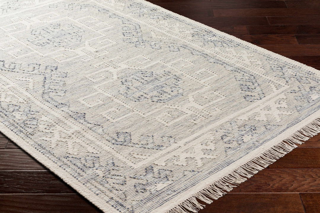 Anund Traditional Beige And Gray Area Rug - The Rug Decor