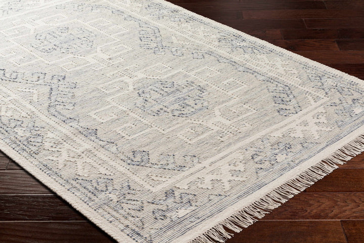 Anund Traditional Beige And Gray Area Rug - The Rug Decor