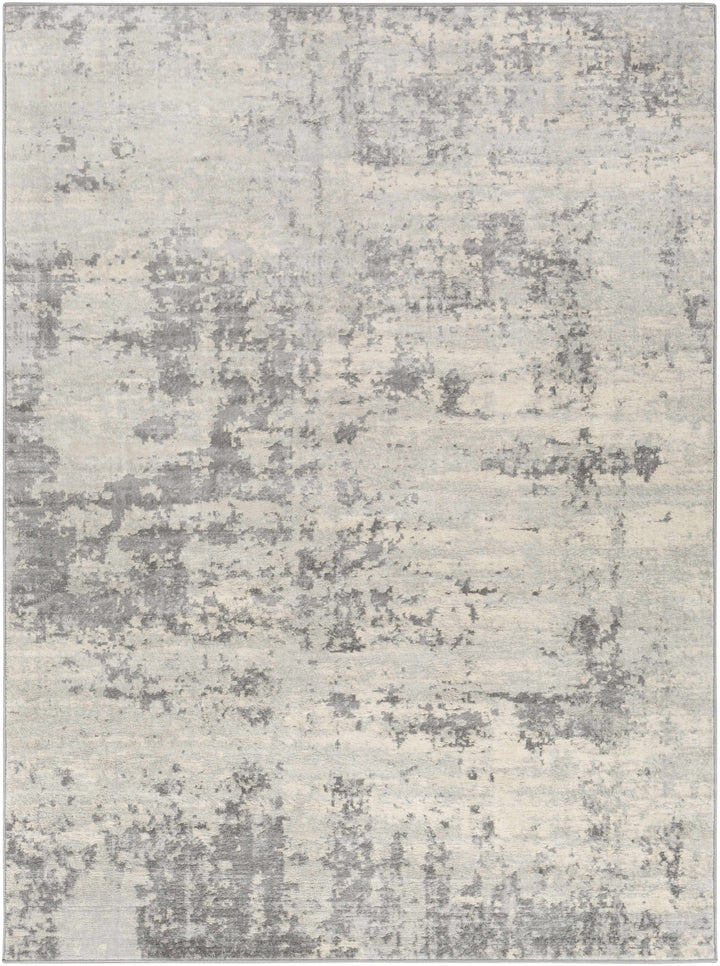 Apison Modern Abstract Design Gray Area Rug