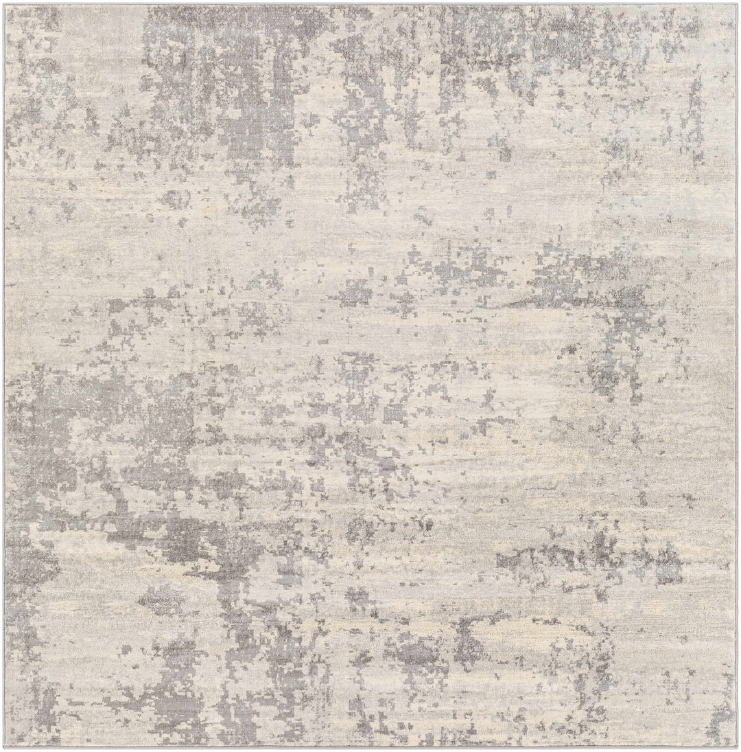 Apison Modern Abstract Design Gray Area Rug