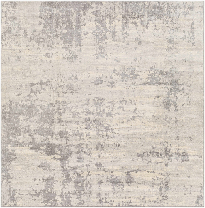 Apison Modern Abstract Design Gray Area Rug