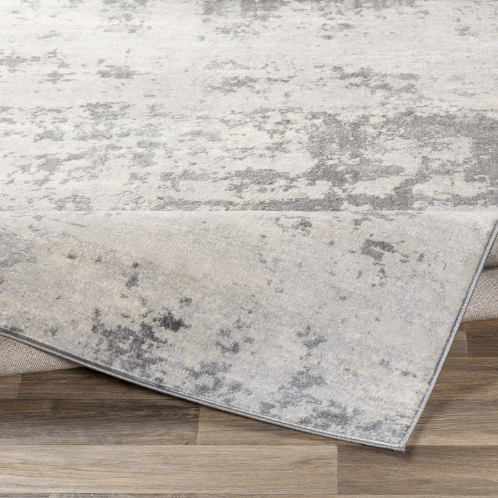 Apison Modern Abstract Design Gray Area Rug