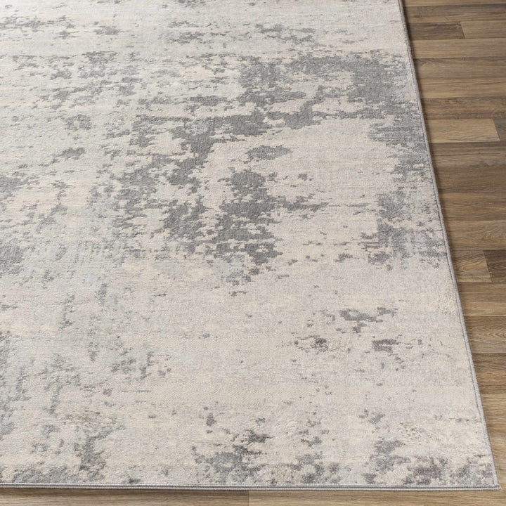 Apison Modern Abstract Design Gray Area Rug