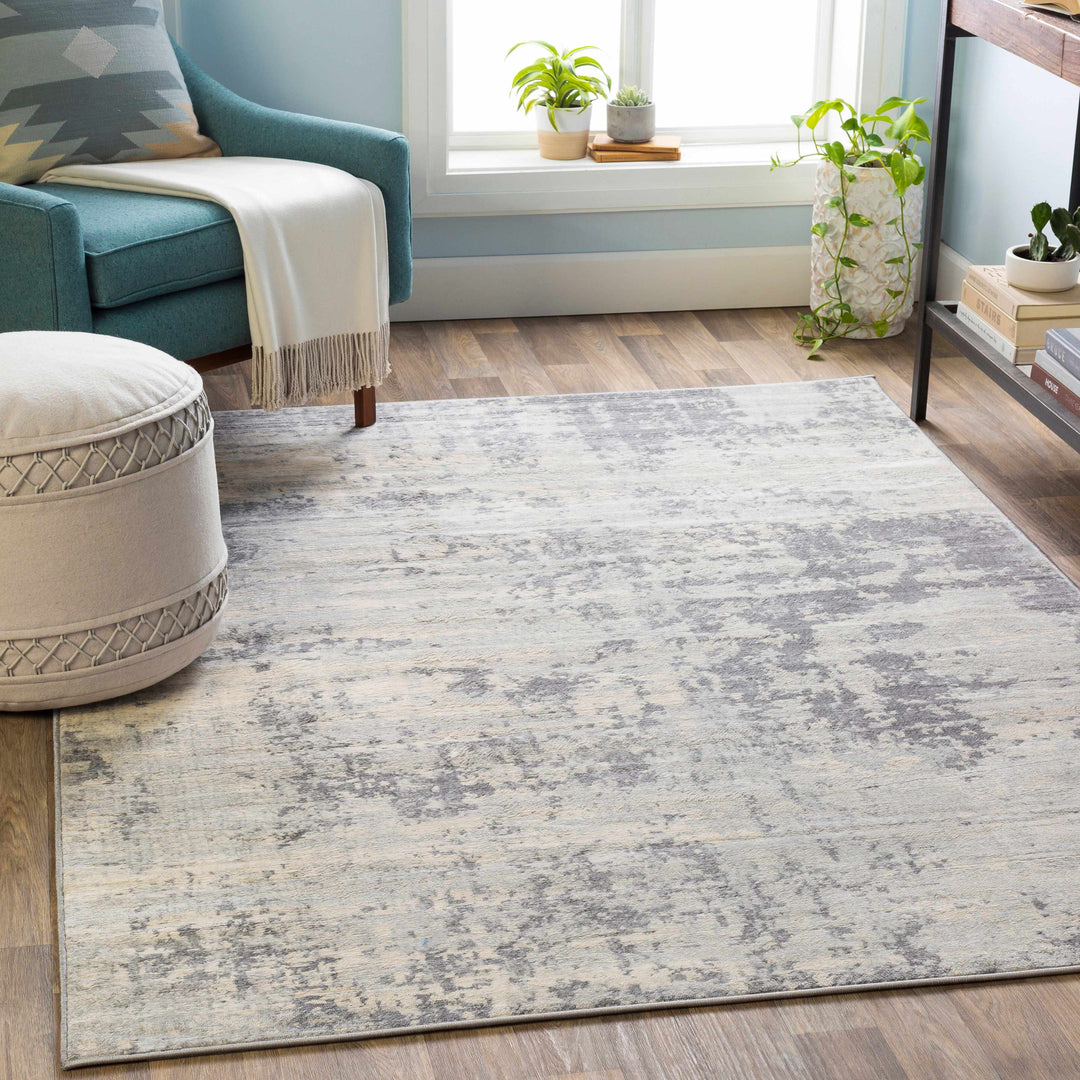 Apison Modern Abstract Design Gray Area Rug