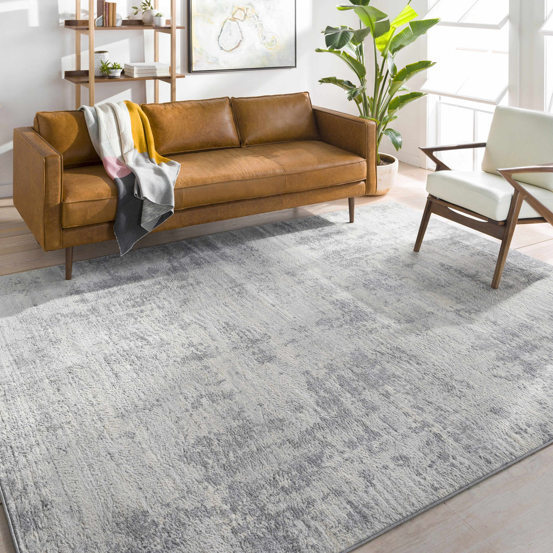 Apison Modern Abstract Design Gray Area Rug