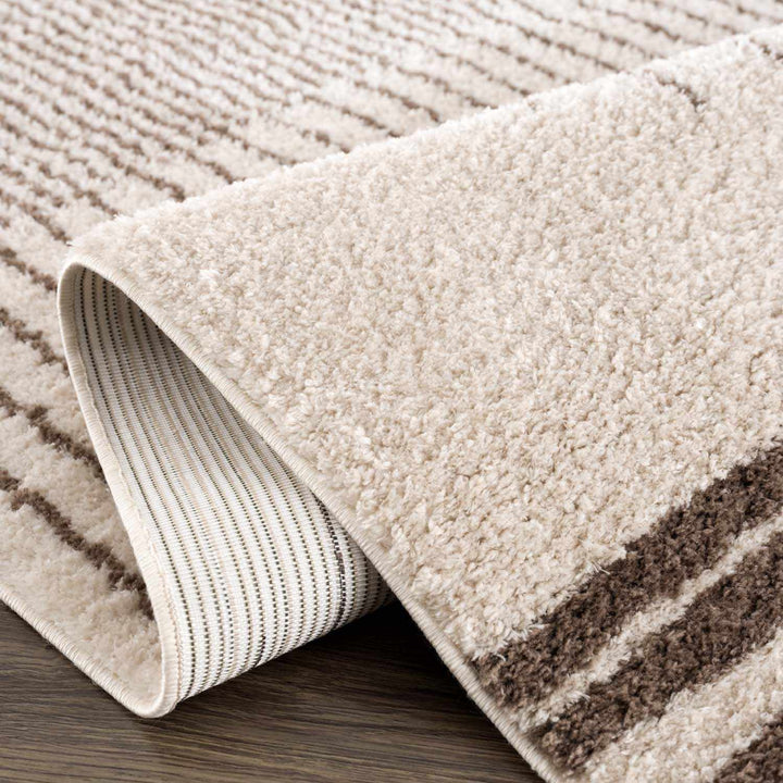 Apichu Modern Brown And Beige Washable Area Rug - The Rug Decor