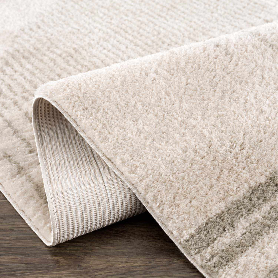 Apichu Modern Style Beige And Gray Washable Area Rug - The Rug Decor