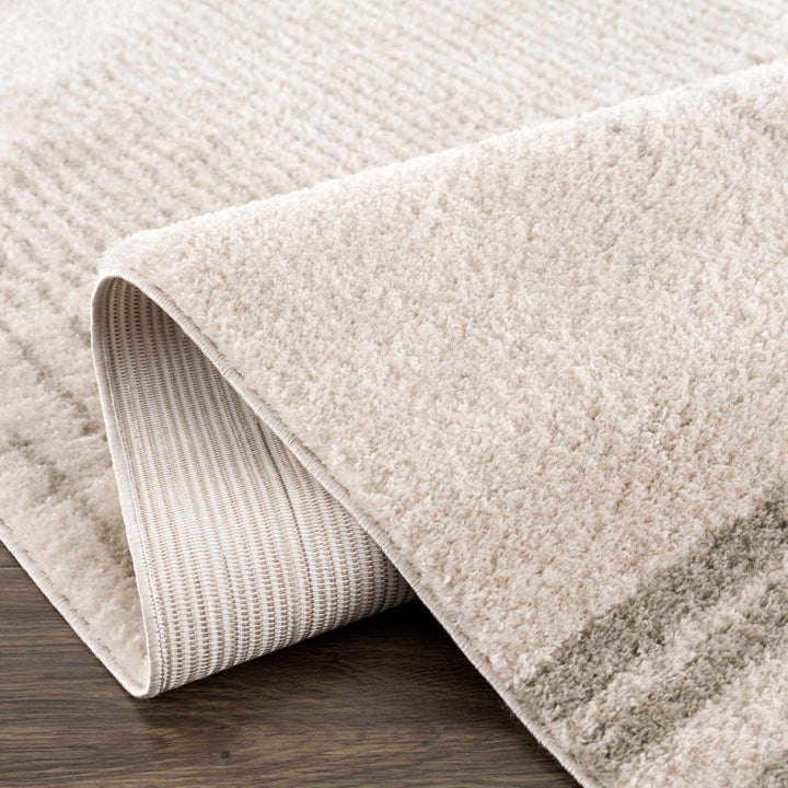 Apichu Modern Style Beige And Gray Washable Area Rug - The Rug Decor