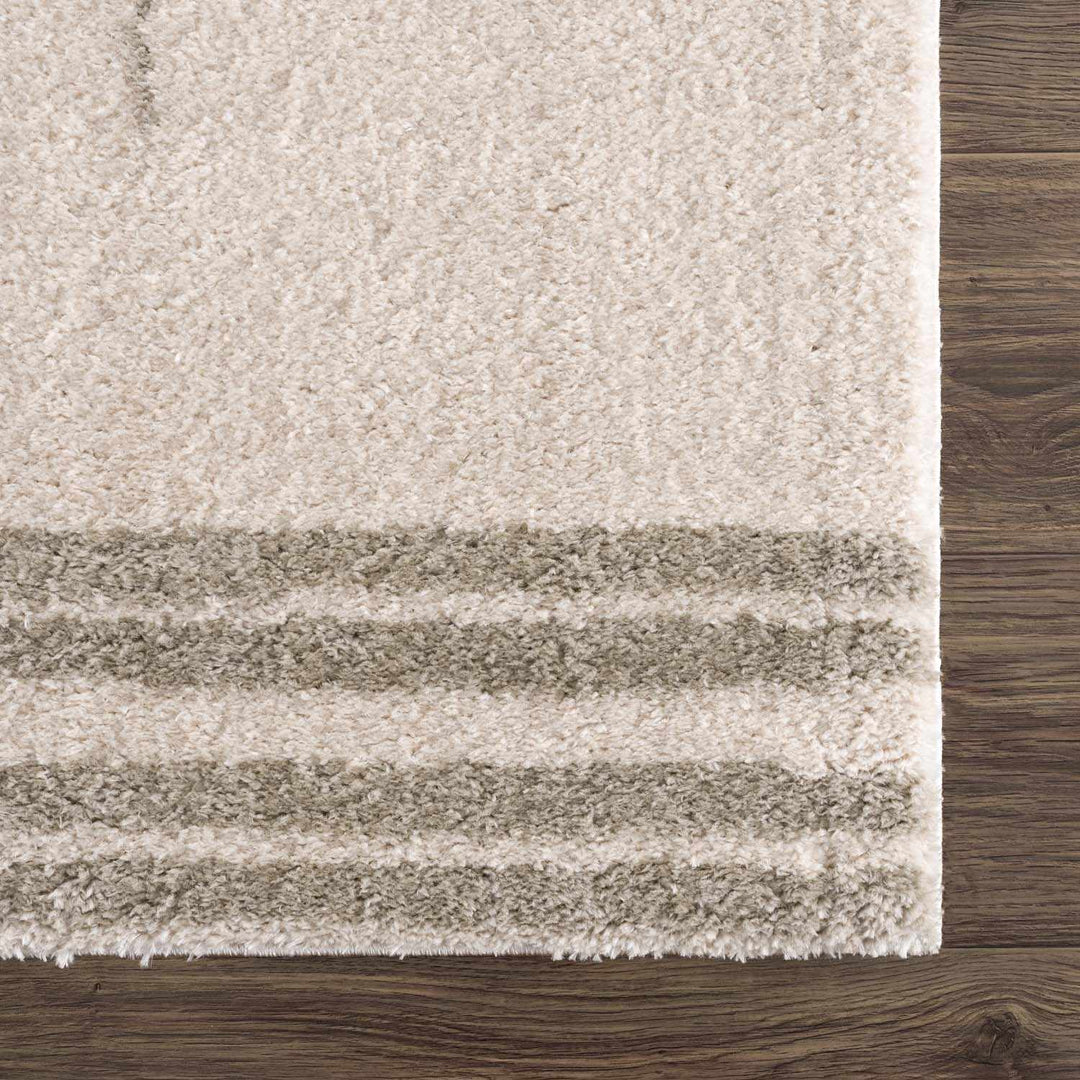 Apichu Modern Style Beige And Gray Washable Area Rug - The Rug Decor