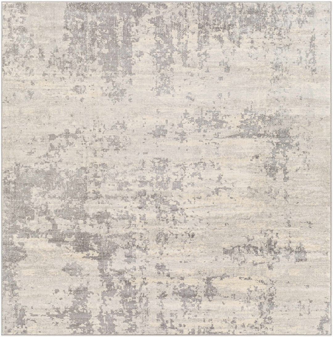 Apison Modern Abstract Design Gray Area Rug - The Rug Decor