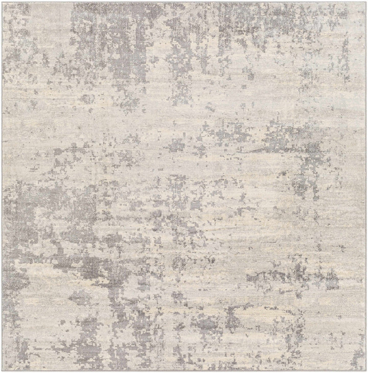 Apison Modern Abstract Design Gray Area Rug - The Rug Decor