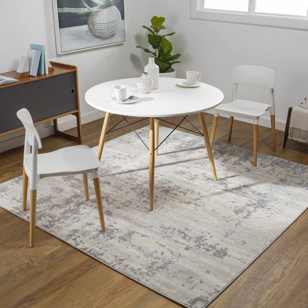 Apison Modern Abstract Design Gray Area Rug - The Rug Decor