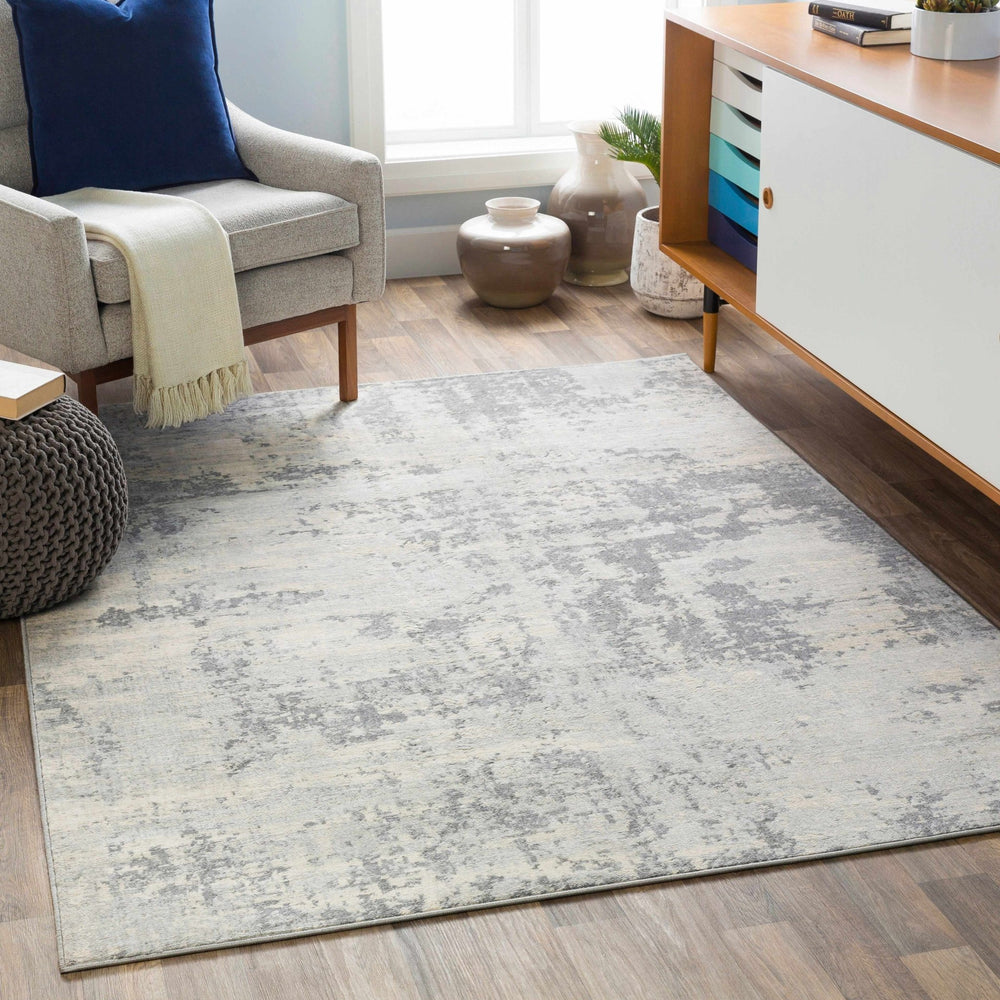 Apison Modern Abstract Design Gray Area Rug - The Rug Decor
