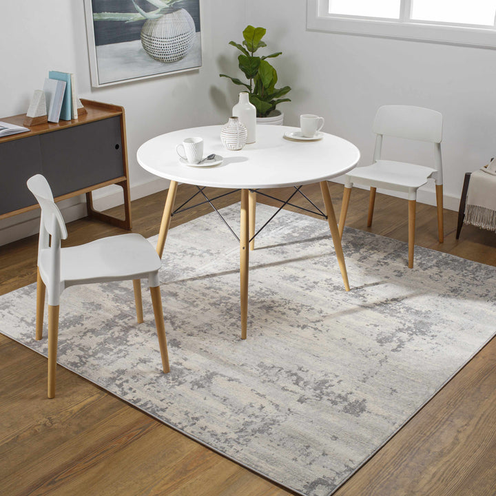 Apison Modern Abstract Design Gray Area Rug