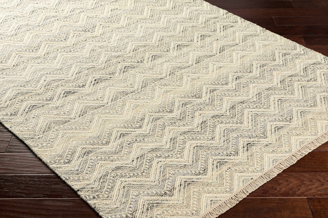 Aqeel Modern Chevron Pattern Beige Hand Woven Wool Area Rug