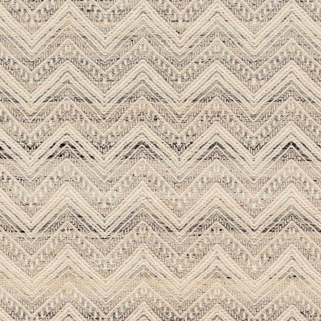 Aqeel Modern Chevron Pattern Beige Hand Woven Wool Area Rug