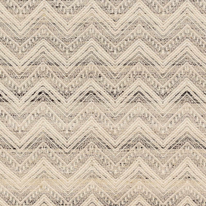 Aqeel Modern Chevron Pattern Beige Hand Woven Wool Area Rug
