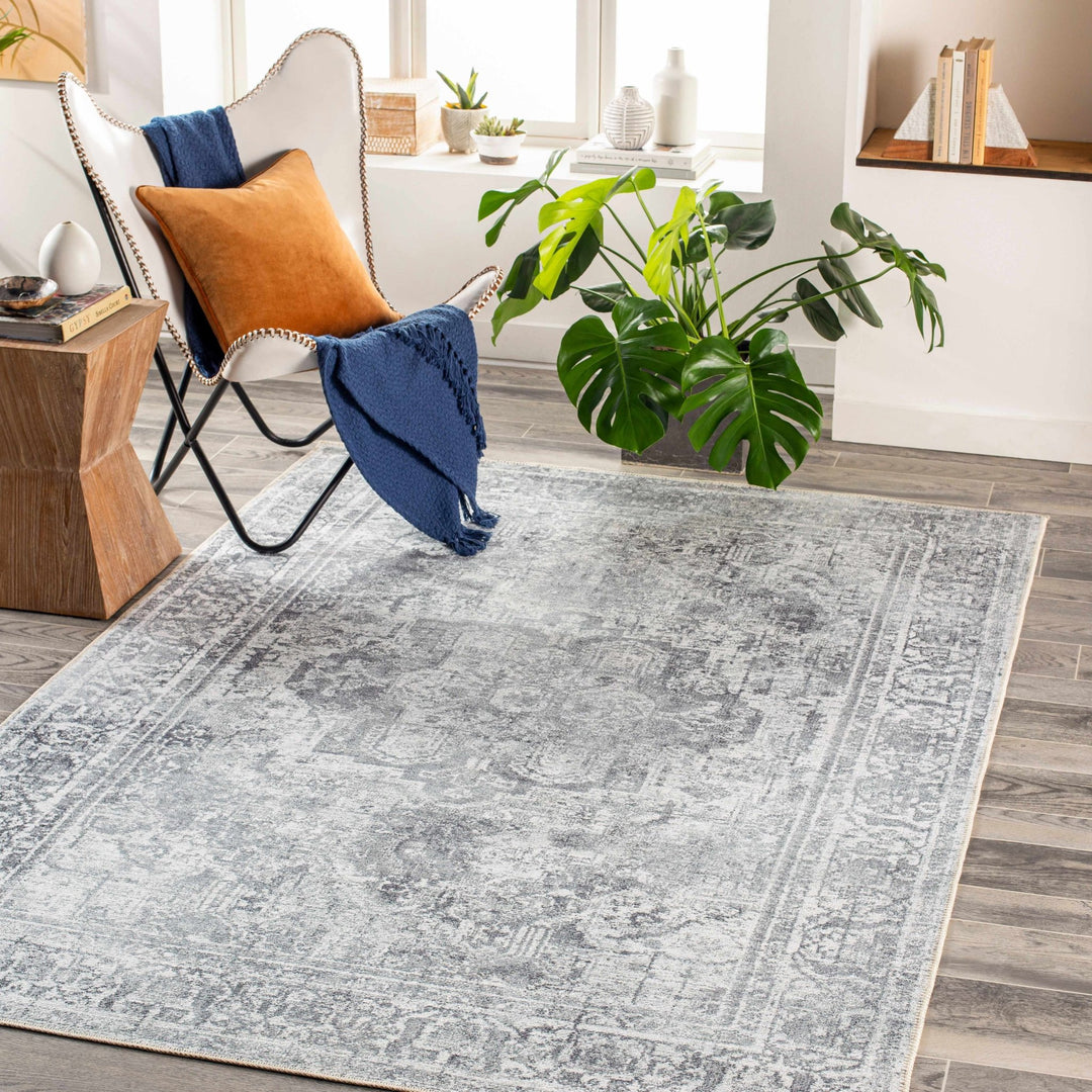 Aquino Traditional Style Gray Washable Rug - The Rug Decor