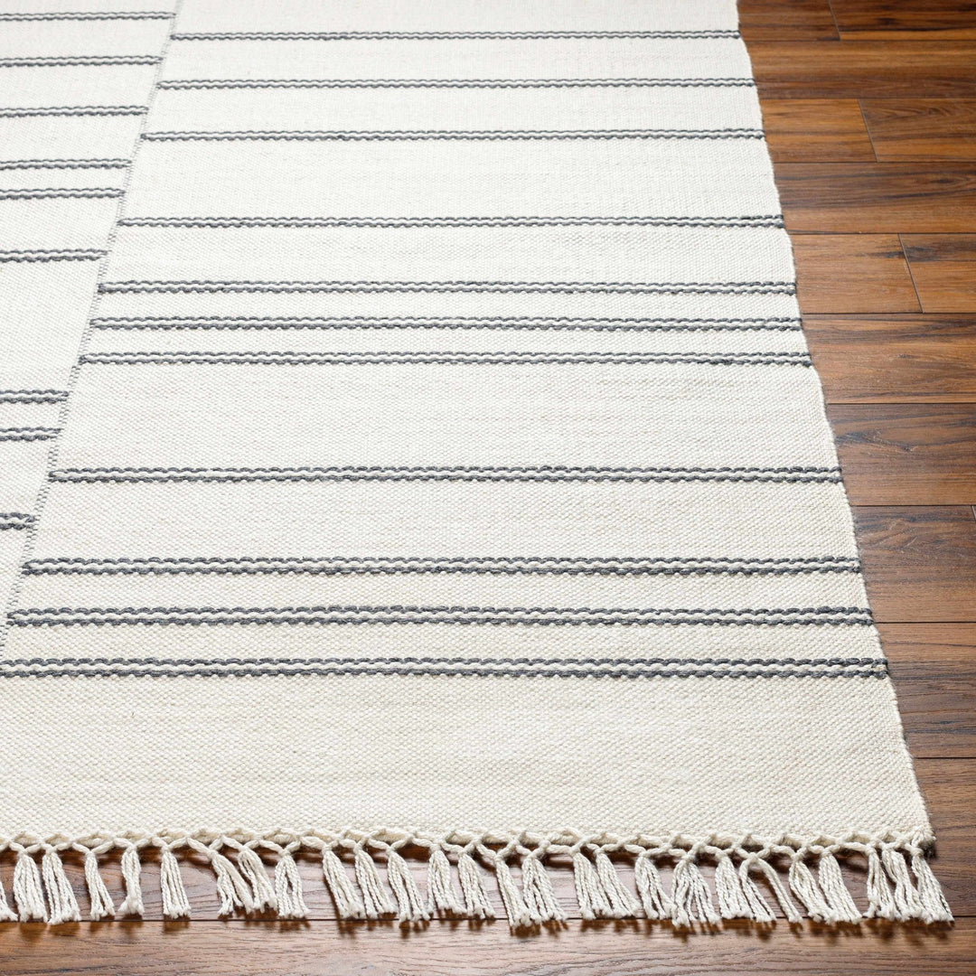 Aras Modern Style Off White Hand Woven Area Rug - The Rug Decor