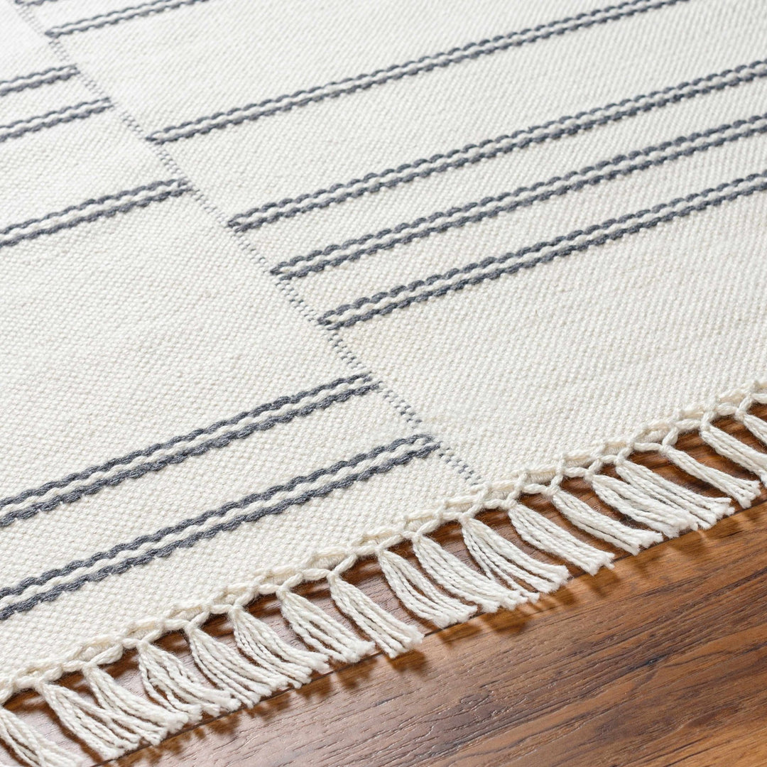 Aras Modern Style Off White Hand Woven Area Rug - The Rug Decor
