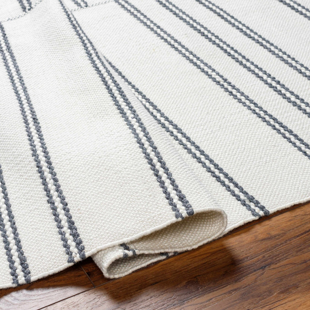 Aras Modern Style Off White Hand Woven Area Rug - The Rug Decor