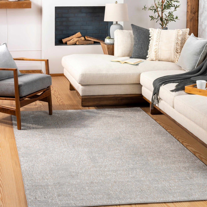 Contemporary Gray Machine Woven Area Rug