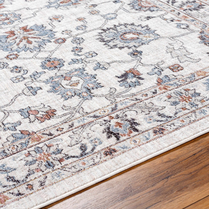 Ardin Traditional Style Cream And Blue Area Rug - The Rug Decor