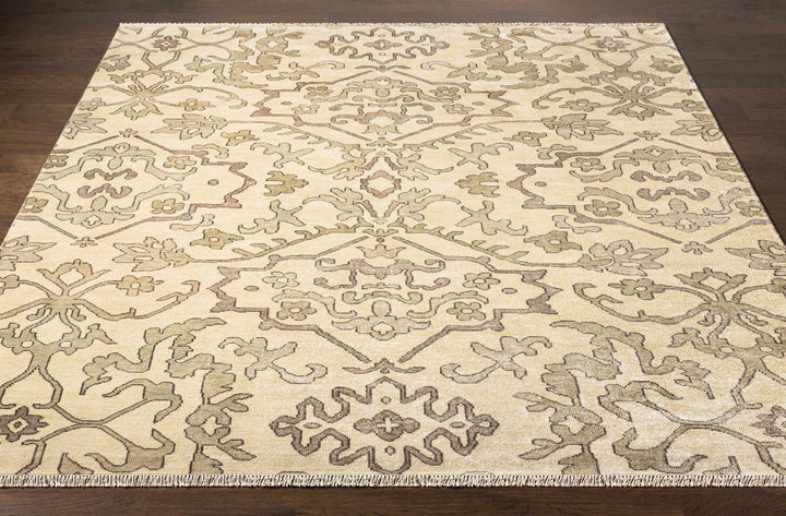 Arena Traditional Ivory And Beige Hand Knotted Area Rug