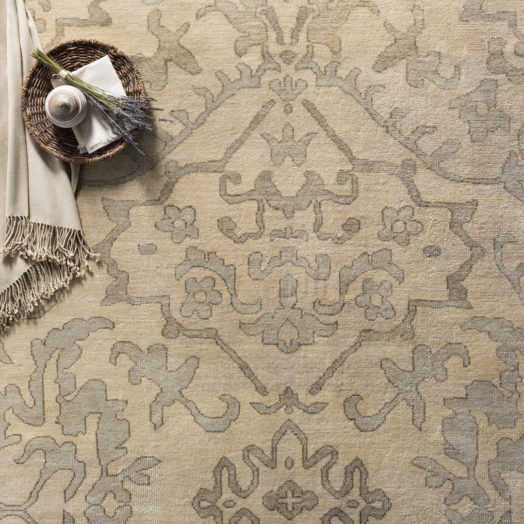 Arena Traditional Ivory And Beige Hand Knotted Area Rug