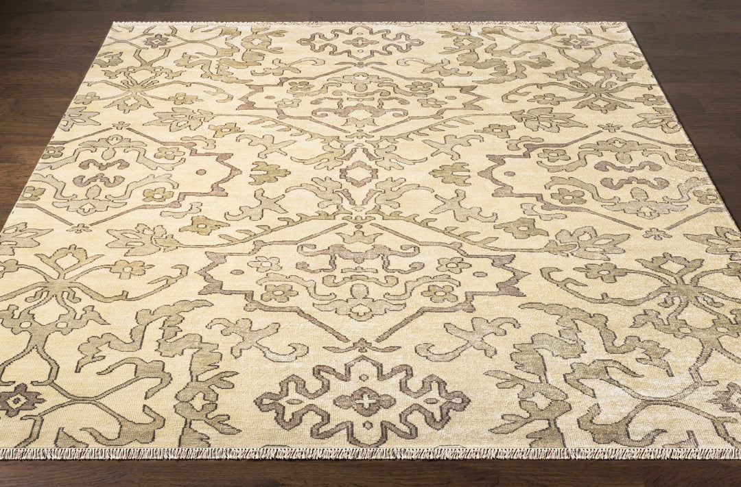 Arena Traditional Ivory And Beige Hand Knotted Area Rug - The Rug Decor