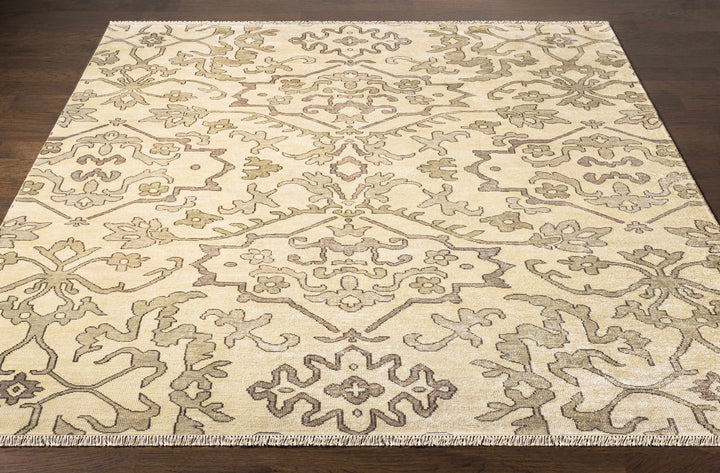 Arena Traditional Ivory And Beige Hand Knotted Area Rug - The Rug Decor