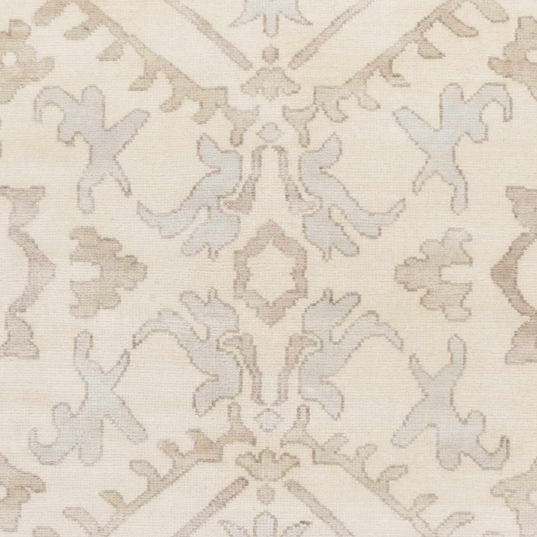 Arena Traditional Ivory And Beige Hand Knotted Area Rug - The Rug Decor