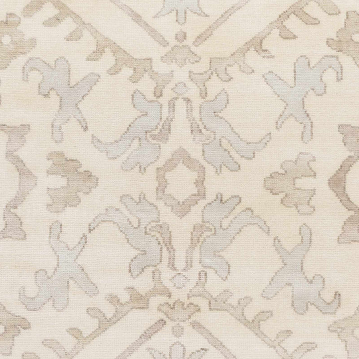 Arena Traditional Ivory And Beige Hand Knotted Area Rug - The Rug Decor