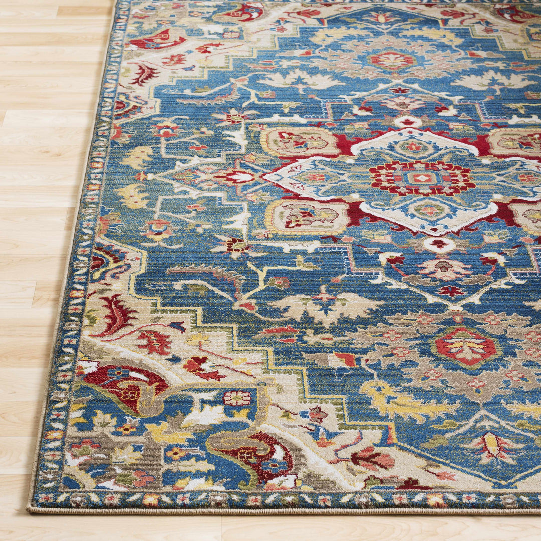 Argyle Traditional Style Blue And Ivory Area Rug