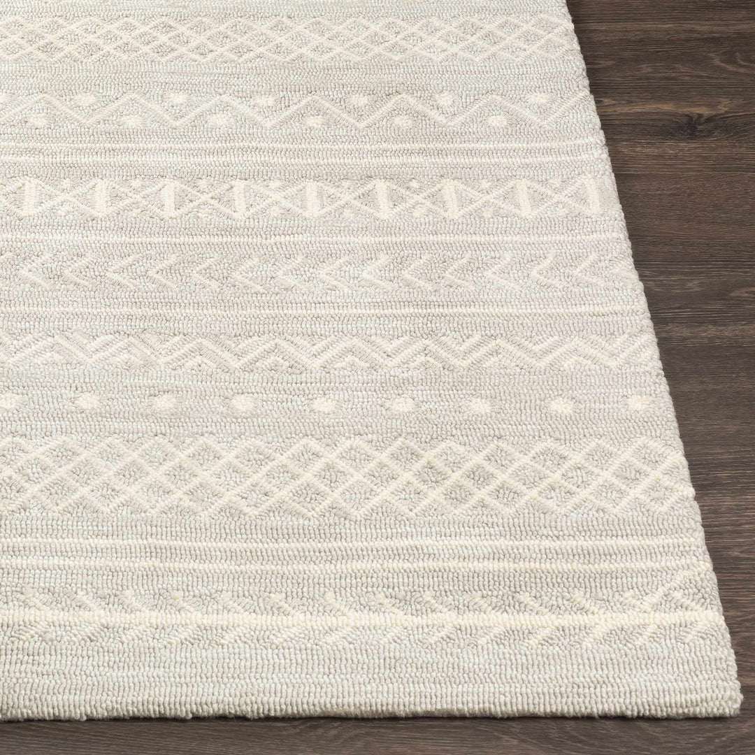 Argenton Modern Geometrical Design Gray Outdoor Area Rug