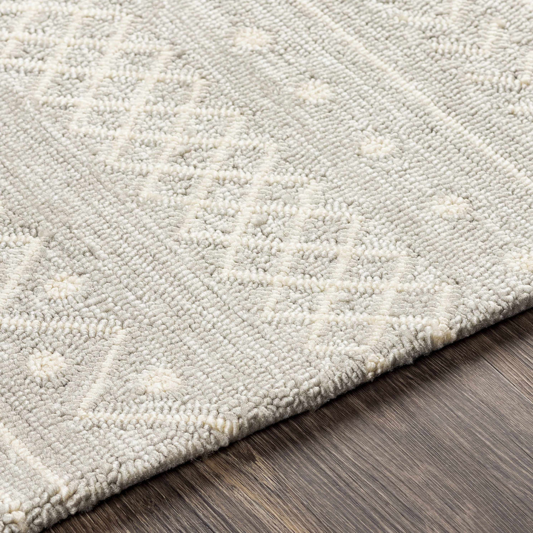 Argenton Modern Geometrical Design Gray Outdoor Area Rug
