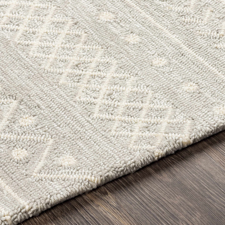 Argenton Modern Geometrical Design Gray Outdoor Area Rug