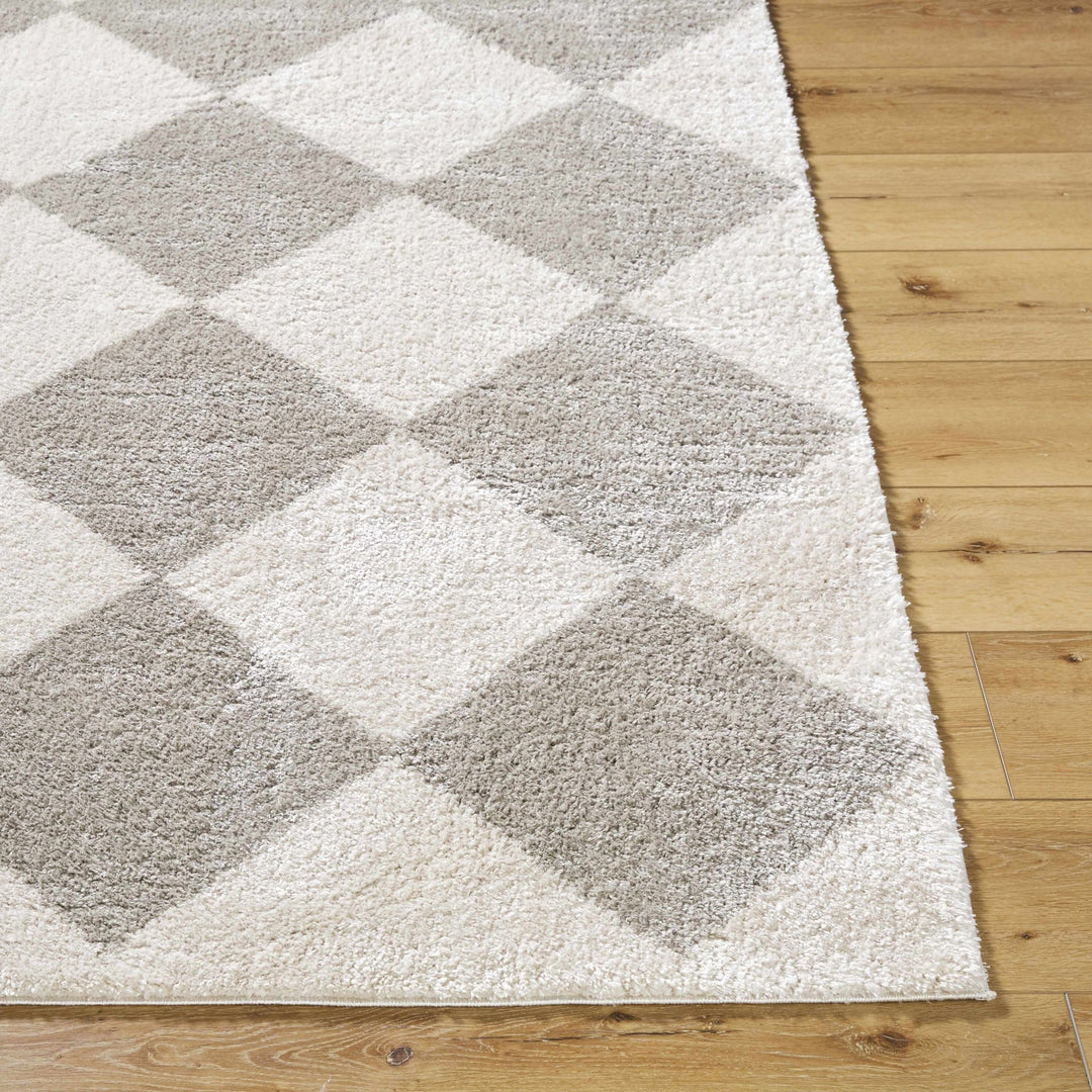 Arilla Modern Geometrical Beige And Gray Area Rug - The Rug Decor