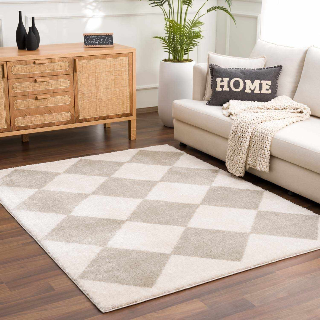 Arilla Modern Geometrical Beige And Gray Area Rug - The Rug Decor