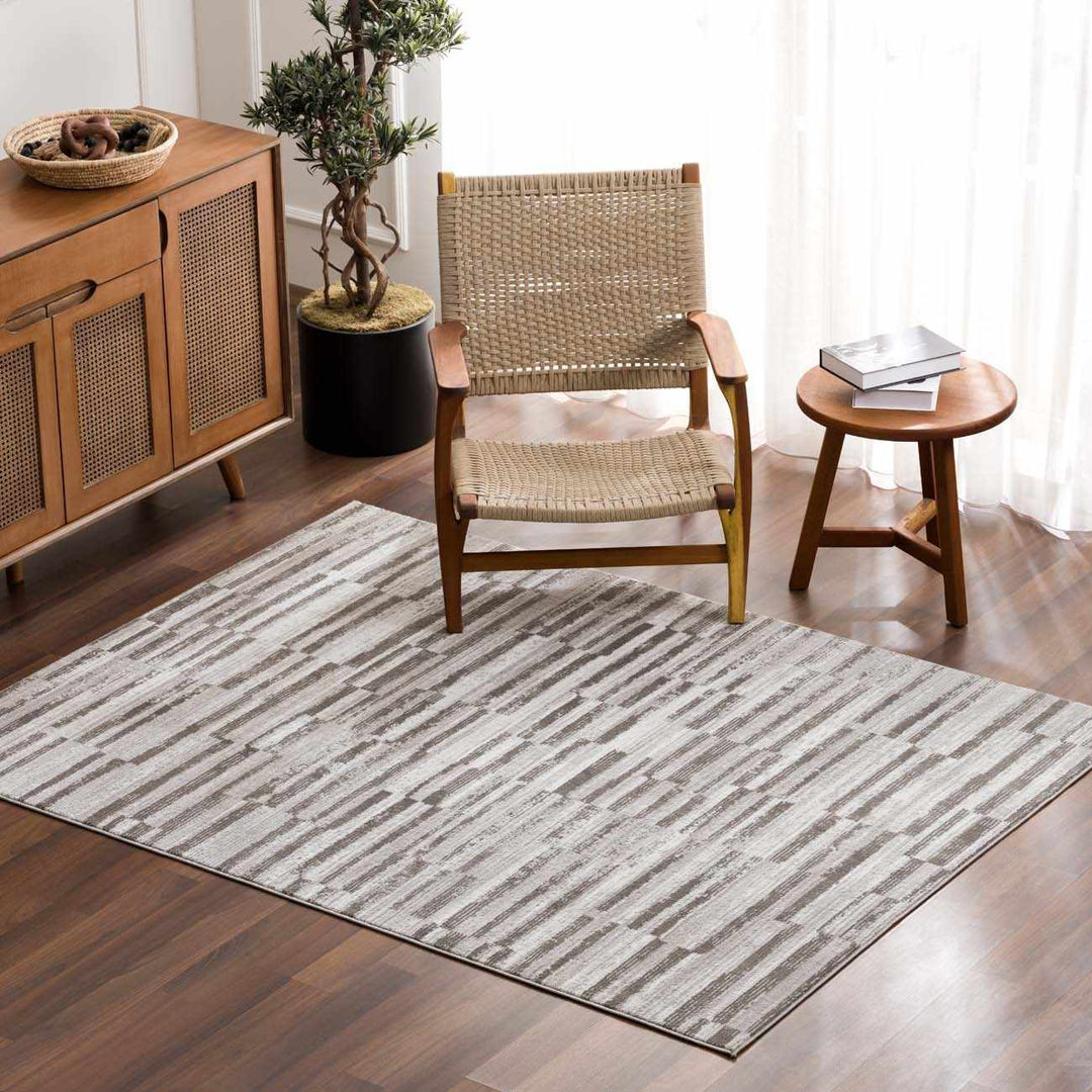 Arissa Modern Stripe Pattern Gray and Silver Rug - The Rug Decor