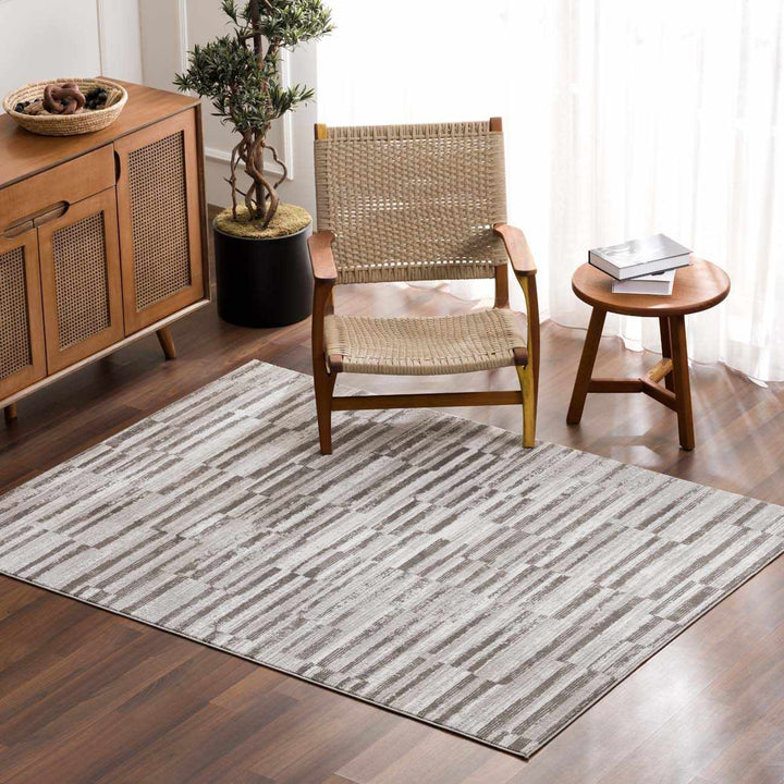 Arissa Modern Stripe Pattern Gray and Silver Rug - The Rug Decor