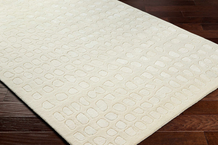 Arjan Contemporary Beige And Ivory Cream Rug - The Rug Decor