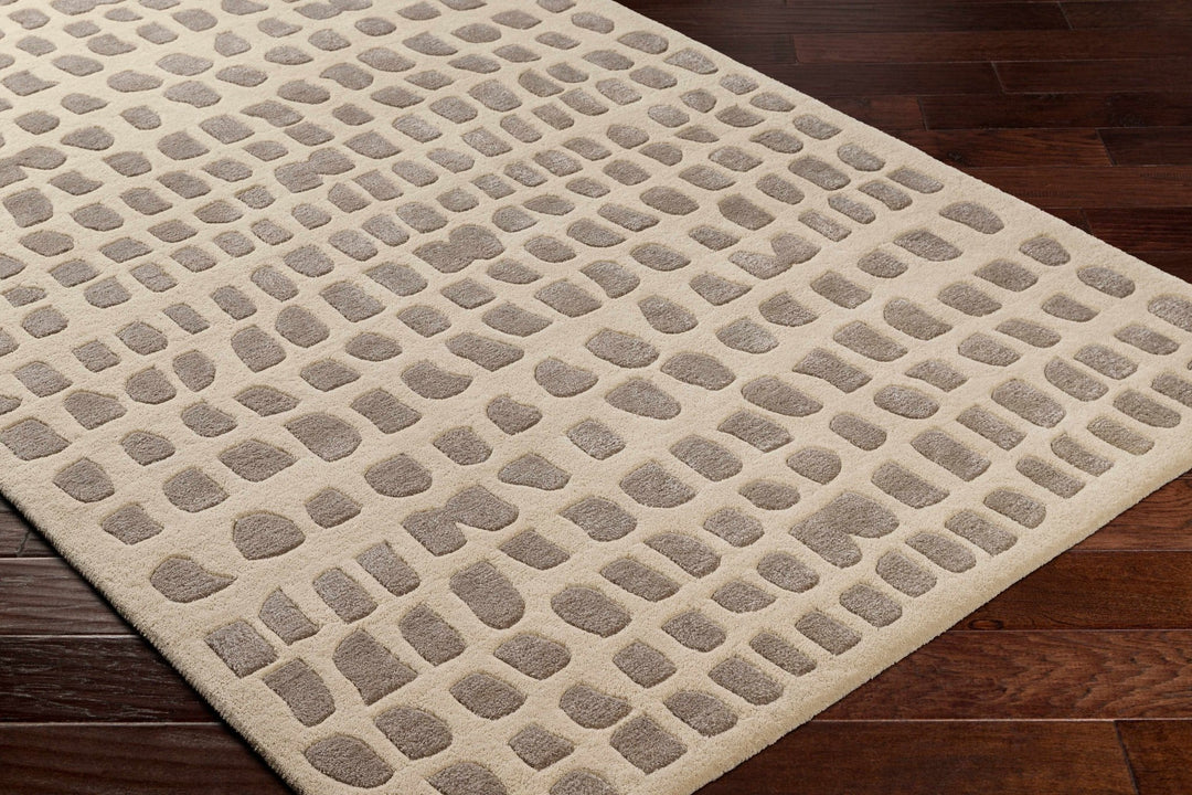 Arjan Contemporary Tan And Brown Area Rug - The Rug Decor