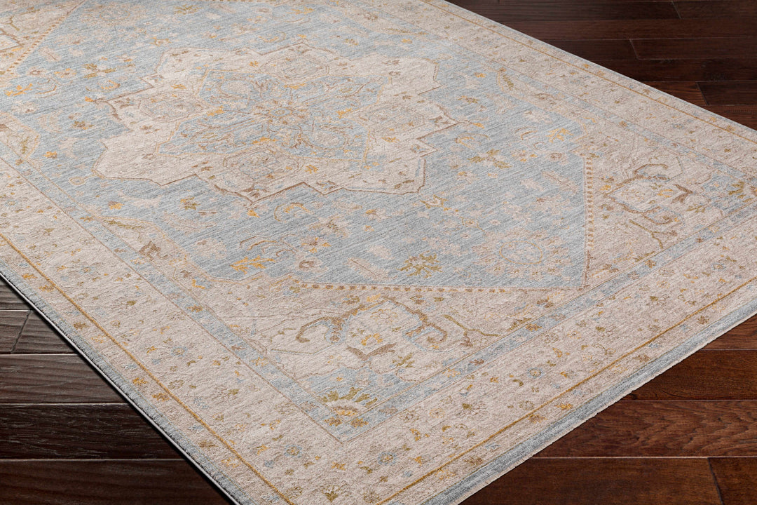 Arjun Traditional Medallion Design Beige And Blue Area Rug