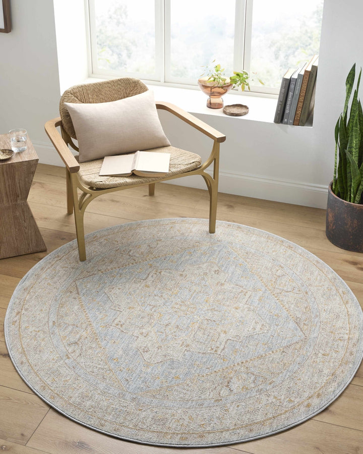Arjun Traditional Medallion Design Beige And Blue Area Rug - The Rug Decor