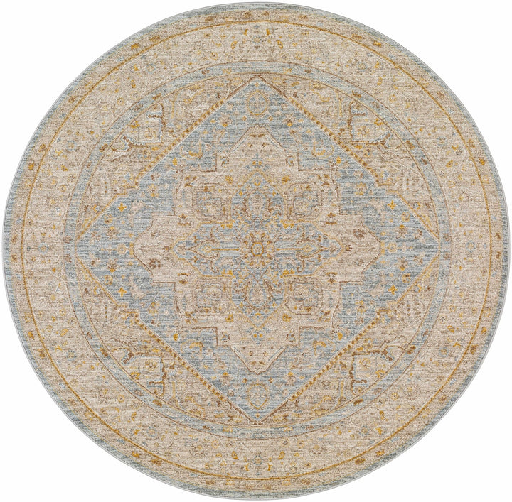 Arjun Traditional Medallion Design Beige And Blue Area Rug - The Rug Decor