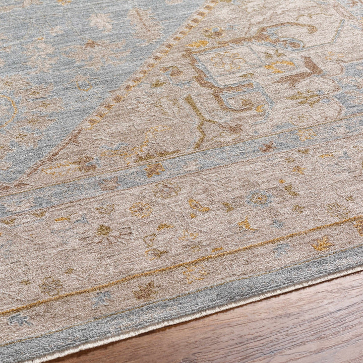 Arjun Traditional Medallion Design Beige And Blue Area Rug - The Rug Decor